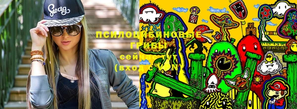 винт Алексин